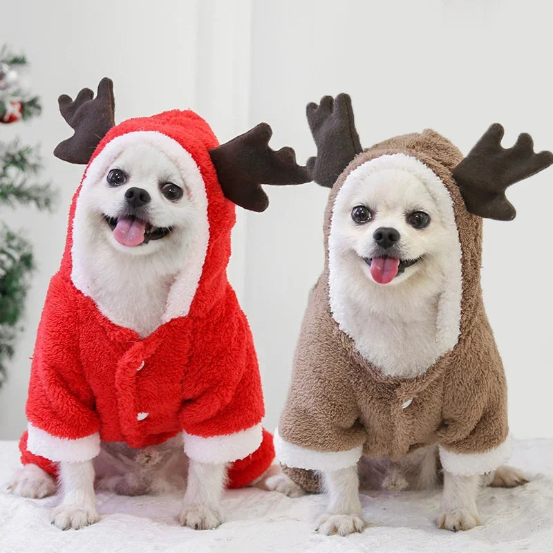 Christmas costumes